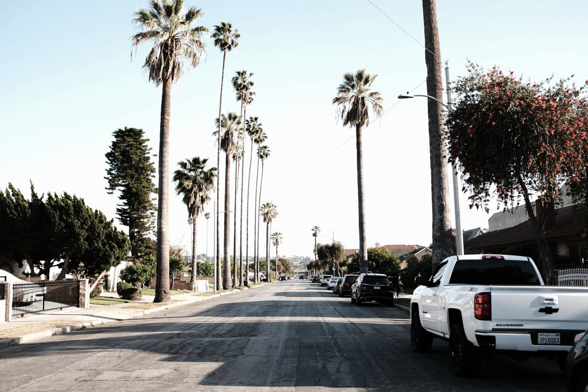 Calle residencial soleada con palmeras altas en Los Ángeles